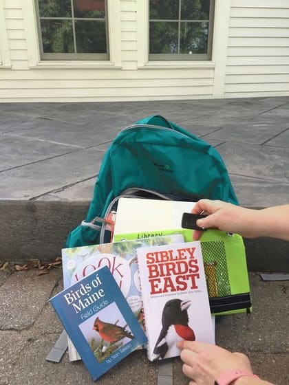 A library delivery bag of books waiting on a front doorstep