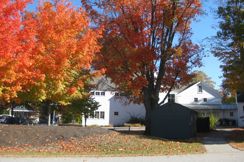 The library’s white clapboard building in autumn, framed by brilliant orange maples